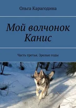 Ольга Карагодина - Мой волчонок Канис. Часть третья. Зрелые годы