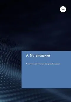 Александр Матвиевский - Практически все об аттестации по вопросам безопасности