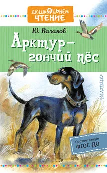 Юрий Казаков - Арктур – гончий пёс