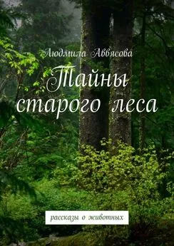 Людмила Аввясова - Тайны старого леса