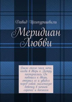 Давид Цкипуришвили - Меридиан Любви