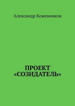 Александр Кожевников - Проект «Созидатель»