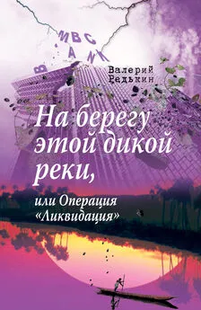 Валерий Редькин - На берегу этой дикой реки, или Операция «Ликвидация»