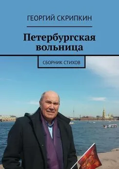 Георгий Скрипкин - Петербургская вольница. Сборник стихов