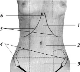 Рис 1 Топография передней брюшной стенки 1 эпигастральная надчревная - фото 1