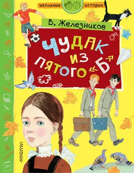 Владимир Железников - Чудак из пятого «Б»