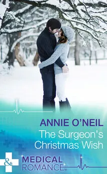 Annie O'Neil - The Surgeon's Christmas Wish