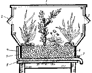 Рис 32 Принцип устройства террариума на гидропонике 1 стеклянный ящик 2 - фото 30
