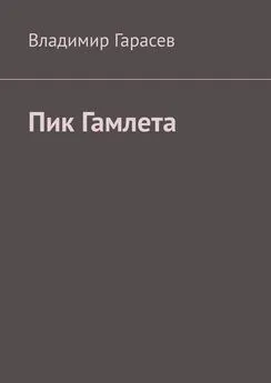 Владимир Гарасев - Пик Гамлета