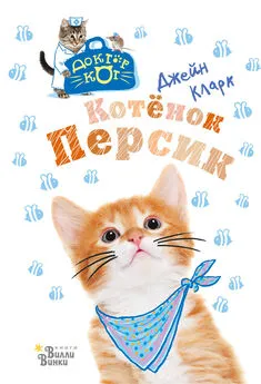 Джейн Кларк - Котёнок Персик