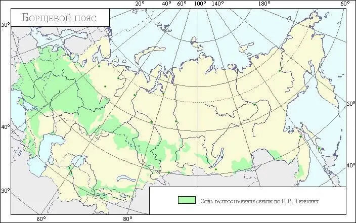 В связи с большими миграционными потоками населения с территории Украины Борщ - фото 2