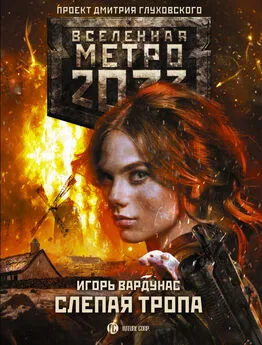 Игорь Вардунас - Метро 2033: Слепая тропа