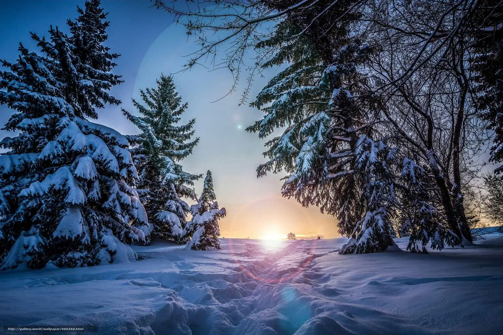 Утро в лесу Зима Закончился ночной полёт снежинки в лунном одеянии - фото 4