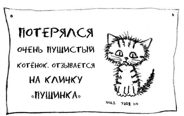 Несколько людей остановились посмотреть все говорили Какой милый котёночек - фото 36
