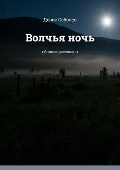 Денис Соболев - Волчья ночь. Сборник рассказов