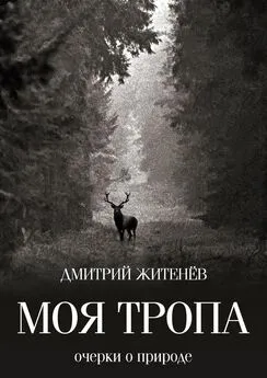 Дмитрий Житенёв - Моя тропа. Очерки о природе