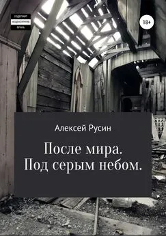 Алексей Русин - После мира. Под серым небом