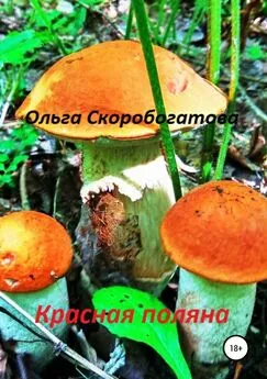 Ольга Скоробогатова - Красная поляна