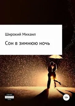 Михаил Широкий - Сон в зимнюю ночь