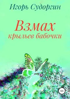Игорь Судоргин - Взмах крыльев бабочки
