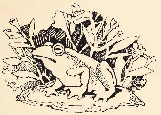 Жилабыла маленькая зелёная лягушка нравом презлющая Сидела она у подножия - фото 1