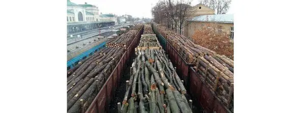 След в Хиросиме Хиросима Река Парапет На ступеньке крыльца обожжённой - фото 8