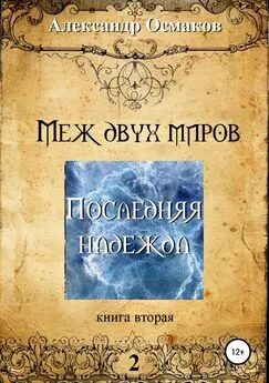 Александр Осмаков - Меж двух миров 2: Последняя надежда