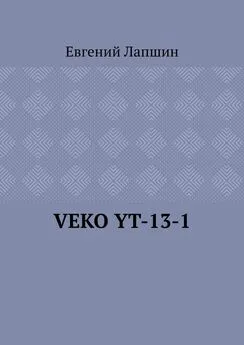 Евгений Лапшин - VEKO YT-13-1