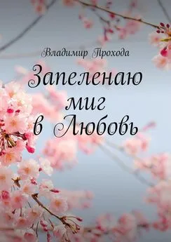 Владимир Прохода - Запеленаю миг в Любовь