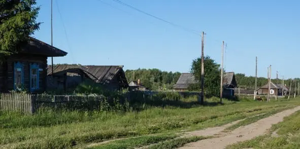 Село Екатериновка Тевризский район Омская область Стрекоза над широким полем - фото 4