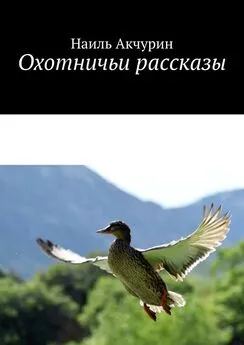 Наиль Акчурин - Охотничьи рассказы