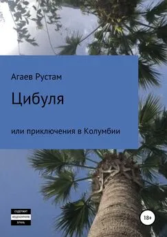 Рустам Агаев - Цибуля, или Приключения в Колумбии