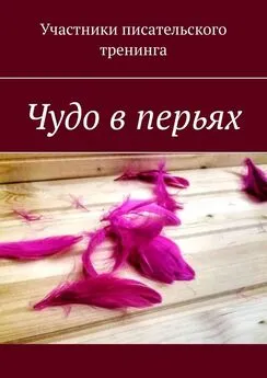 Светлана Яковлева - Чудо в перьях. Сборник серьезных и сказочных историй