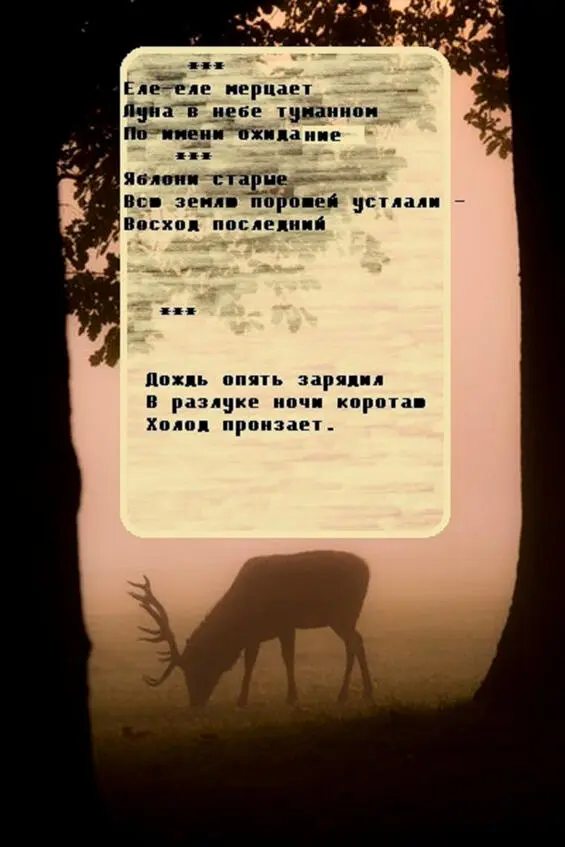 В тоске томлюсь Уж лучше бы ты не приходил Снег в саду был чист - фото 2