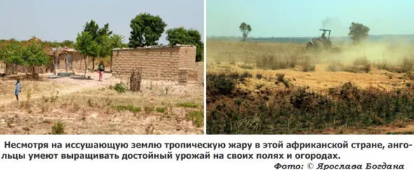 Тяжелый кризис переживало сельское хозяйство поэтому началась интенсивная - фото 18