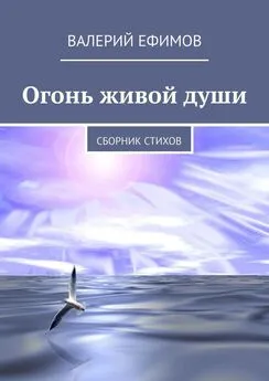 Валерий Ефимов - Огонь живой души. Сборник стихов