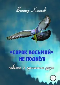 Виктор Кокосов - «Сорок восьмой» не подвёл (повесть о крылатом друге)