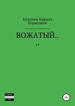 Кирилл Килунин - ВОЖАТЫЙ…