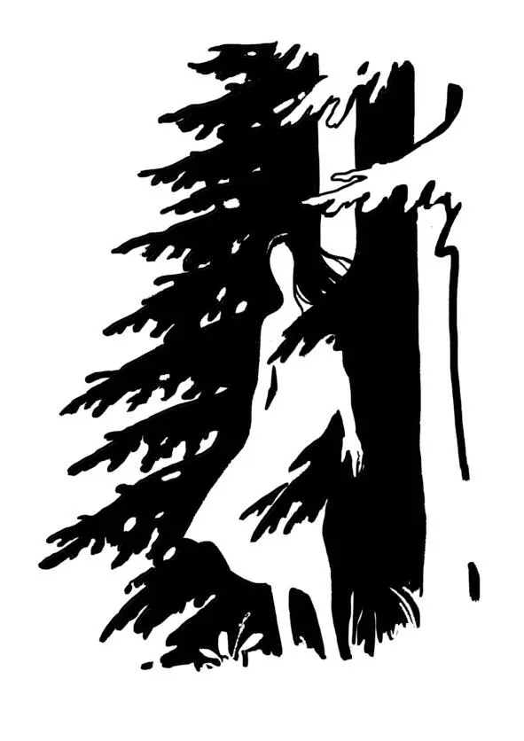 Глава III Поселок в который мы приехали был погружен в такую же тьму как и - фото 2