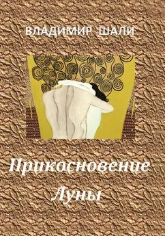 Владимир Шали - Прикосновение Луны. Книга стихотворений 1970-1990