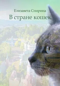 Елизавета Спирина - В стране кошек