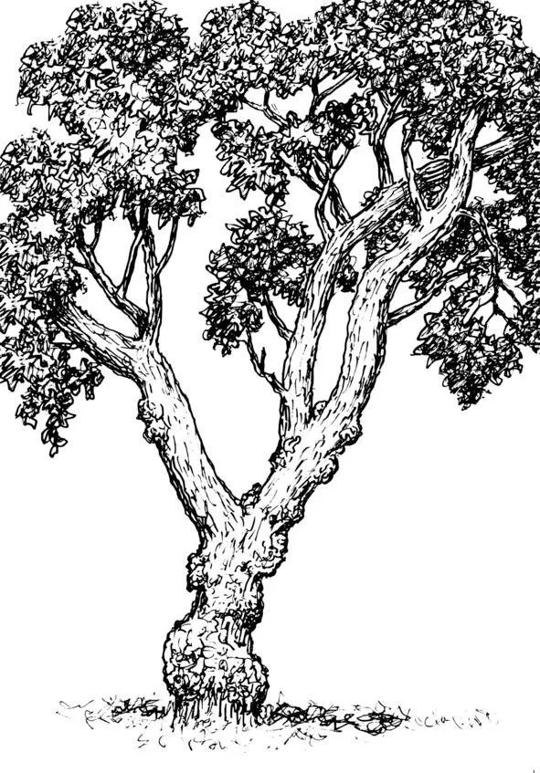 БЛИКИ Листва на дереве и блики Случайно образуют лики И их то нет то их так - фото 2