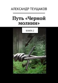 Александр Теущаков - Путь «Черной молнии». Книга 2