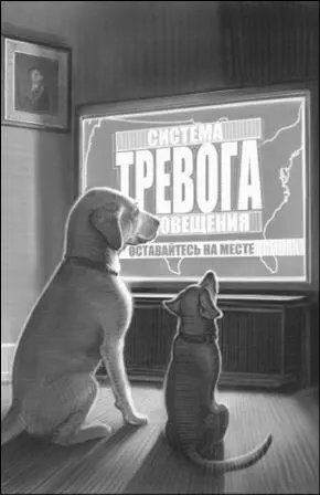 Но картинка на телевизионном экране оказалась довольно интересной Как ты - фото 11