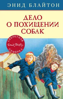 Энид Блайтон - Дело о похищении собак