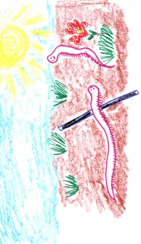 Нарисуй своих червячков Йогамога Йогамога йогамога Е - фото 4