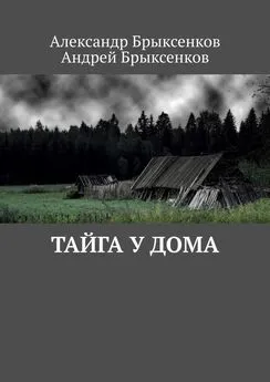 Александр Брыксенков - Тайга у дома