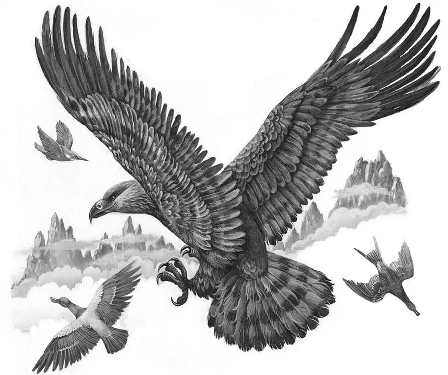 В облаках орёл носится добычу сверху высматривает Налетит он на утку - фото 45