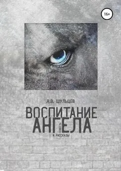 Дмитрий Шульцев - Воспитание ангела. Сборник повести и рассказов