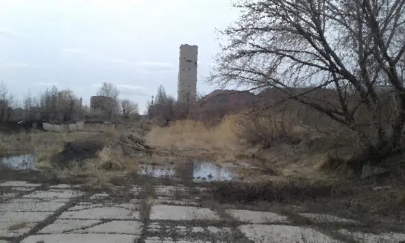 А потом внезапно в городах начались перебои с продовольствием и изза массовых - фото 1